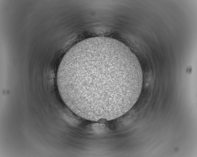 X0000090700279200708101449
