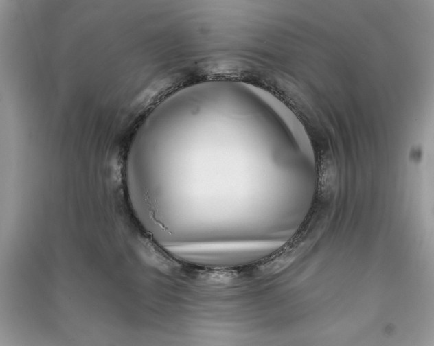 X0000090700282200708101449