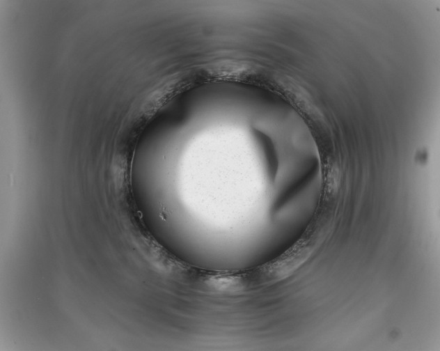 X0000090700283200708101449