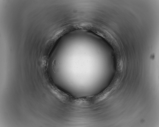X0000090700284200708101449