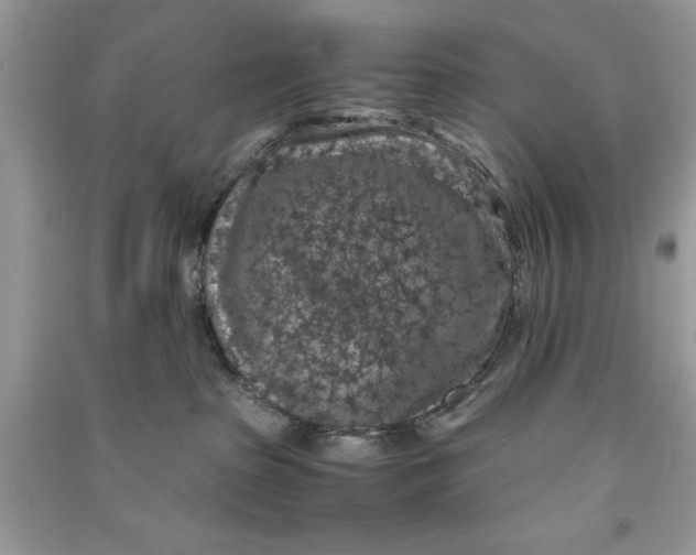 X0000090700285200708101449