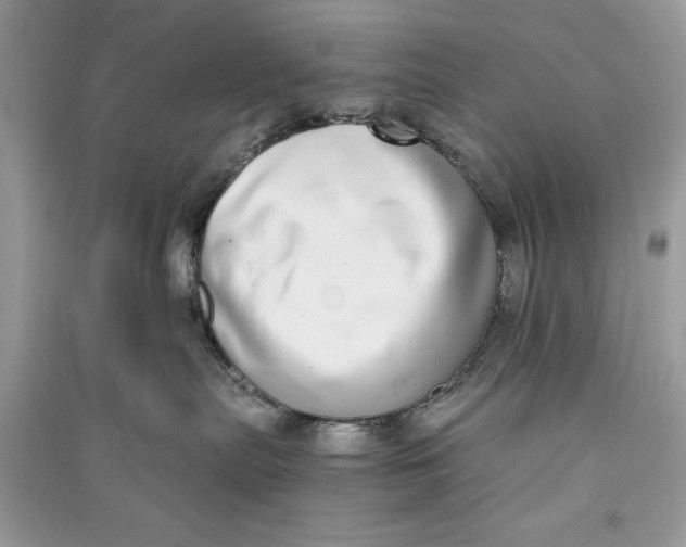 X0000090700287200708101449