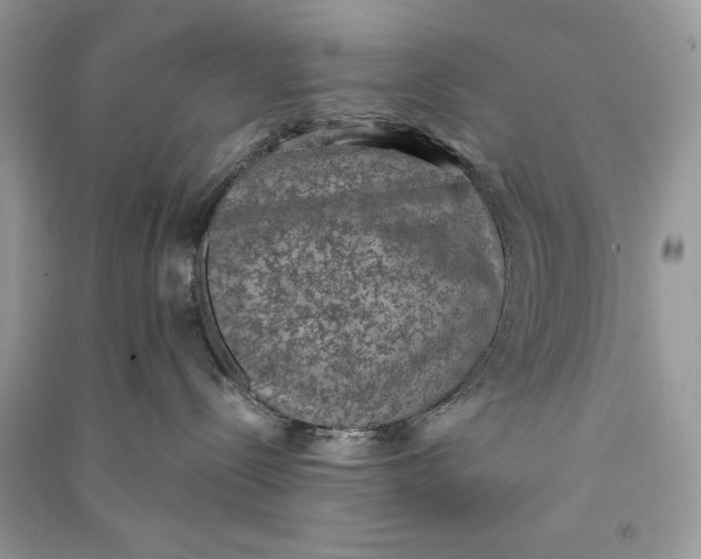 X0000090700288200708101449
