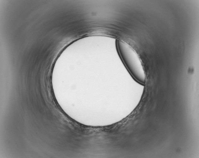 X0000090700289200708101448
