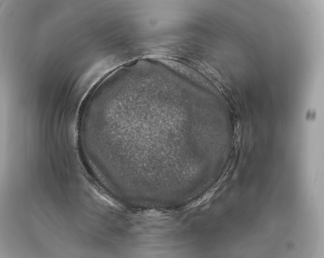 X0000090700290200708101448