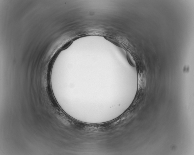 X0000090700291200708101448