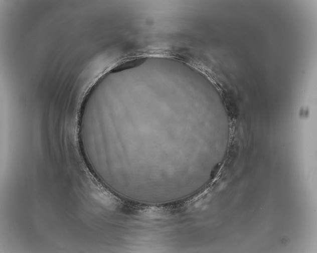 X0000090700293200708101448