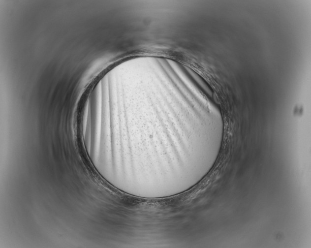 X0000090700294200708101448