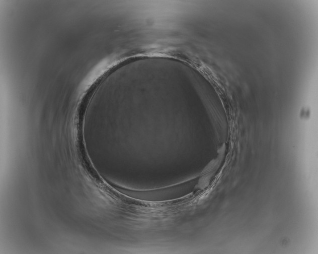 X0000090700295200708101448