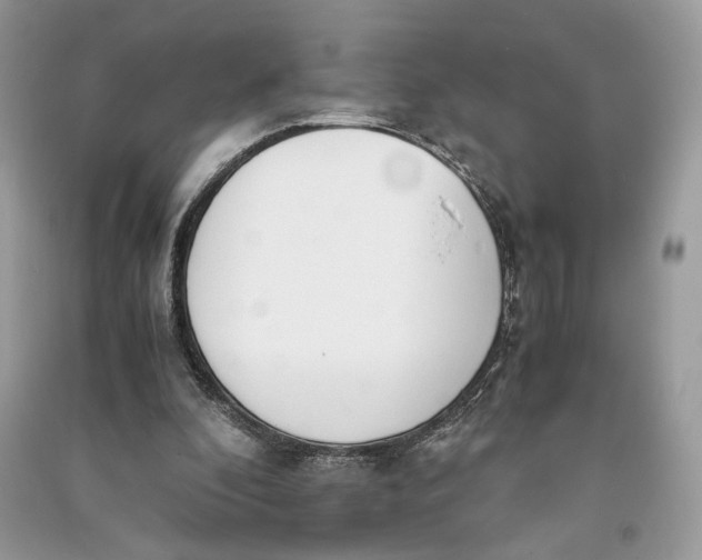 X0000090700296200708101448