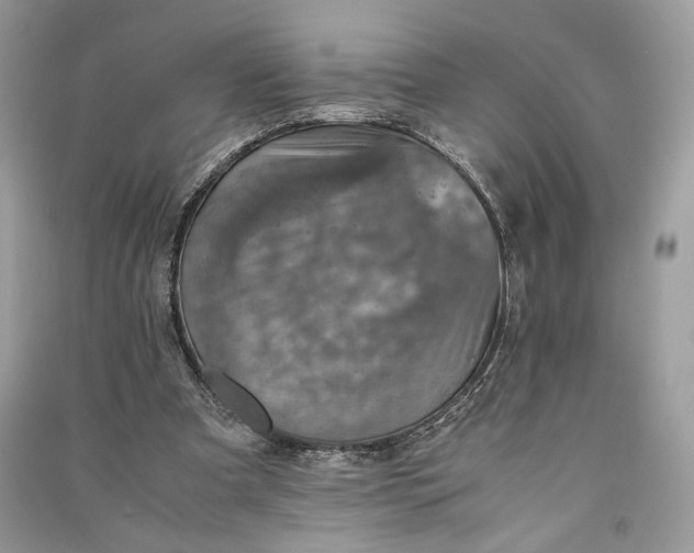 X0000090700297200708101448