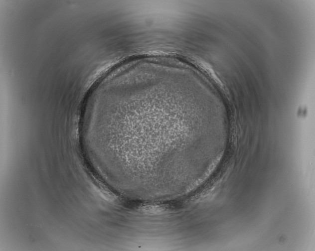 X0000090700299200708101448