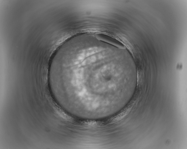 X0000090700301200708101448