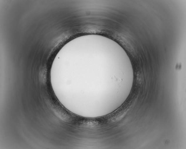 X0000090700304200708101448