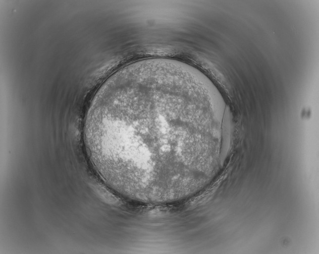 X0000090700305200708101448