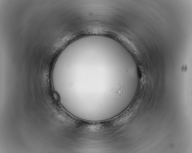 X0000090700306200708101448