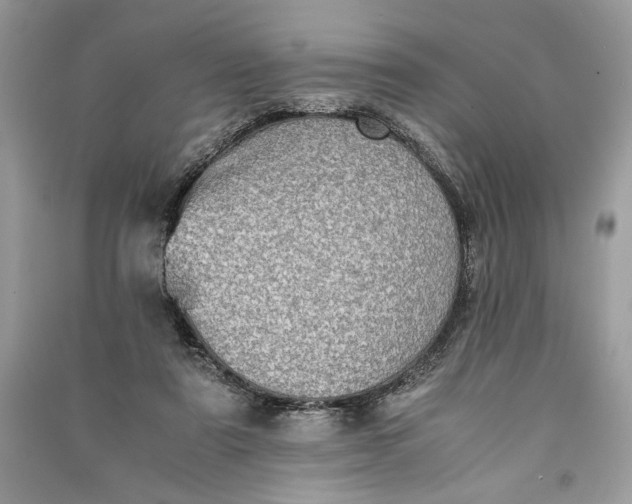 X0000090700307200708101448