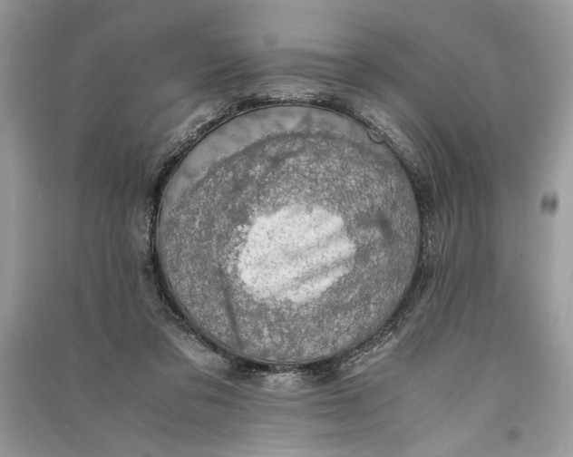 X0000090700309200708101448