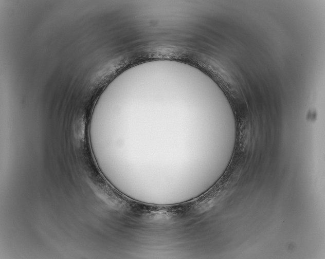 X0000090700310200708101448