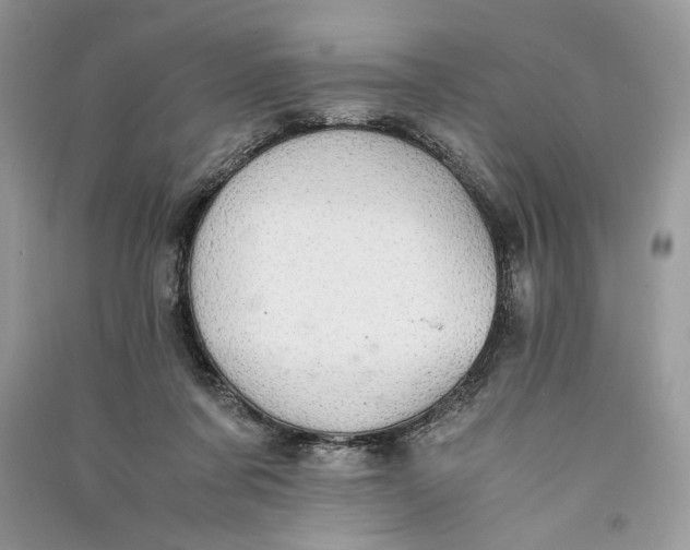 X0000090700311200708101448