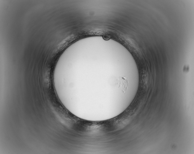 X0000090700312200708101448