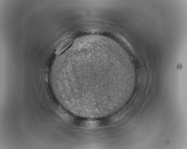 X0000090700313200708101448