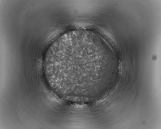 X0000090700314200708101448