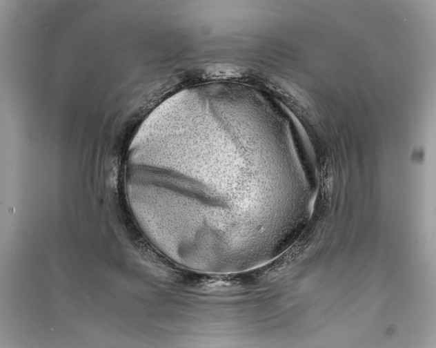 X0000090700315200708101448