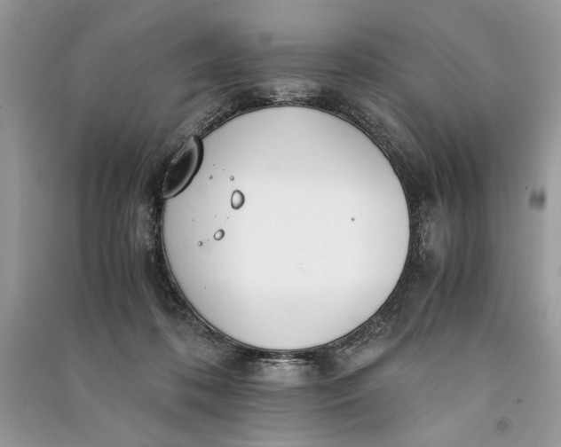X0000090700316200708101448