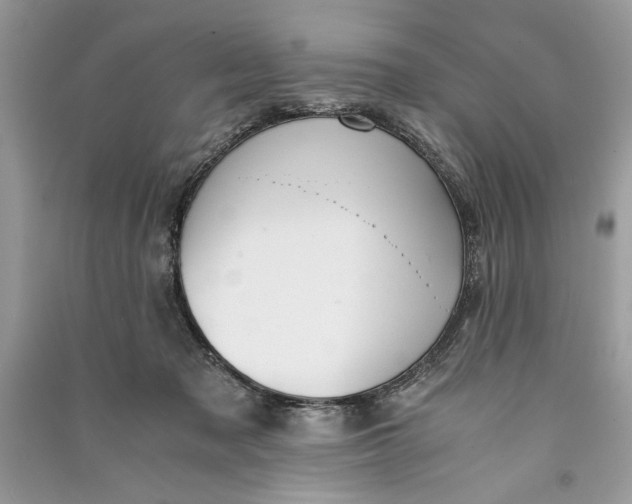 X0000090700317200708101448