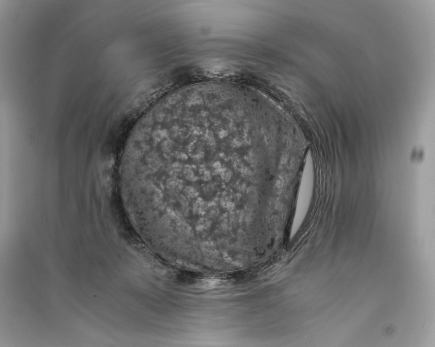 X0000090700319200708101448