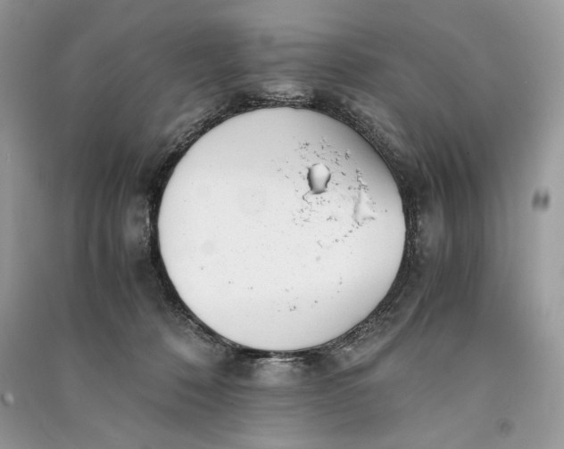 X0000090700320200708101448