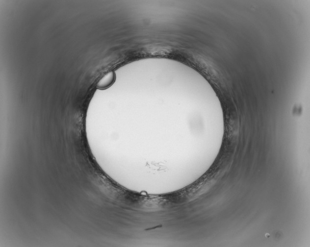 X0000090700321200708101448