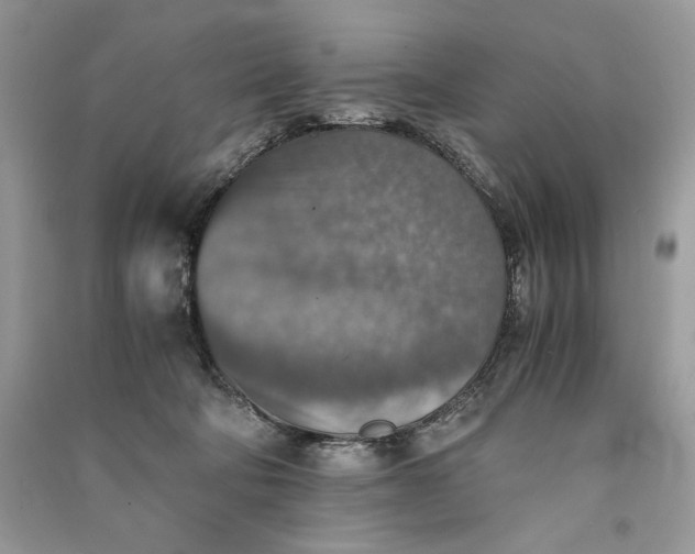 X0000090700322200708101448