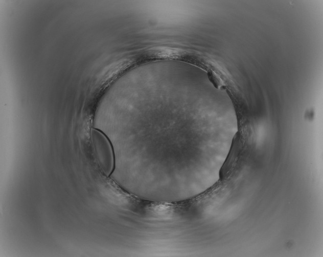 X0000090700325200708101448