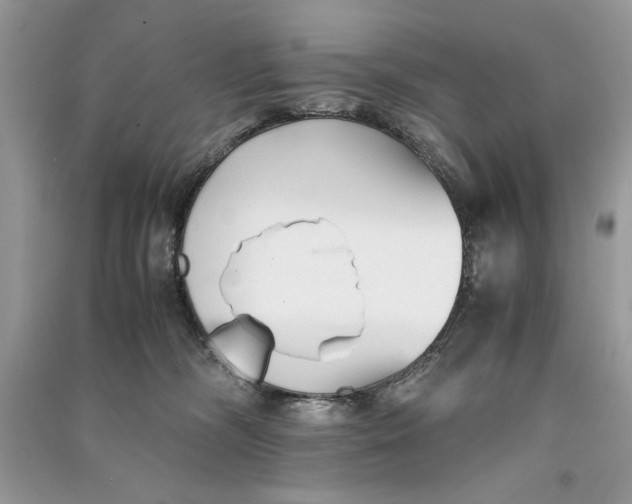 X0000090700326200708101448