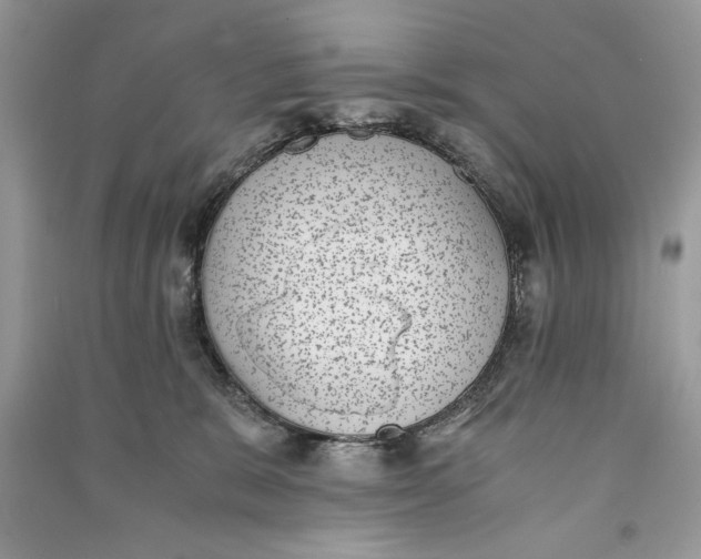 X0000090700327200708101447
