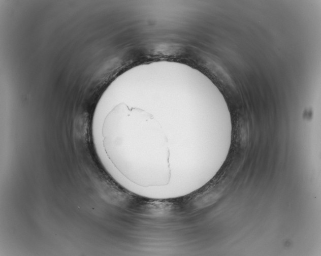 X0000090700328200708101447