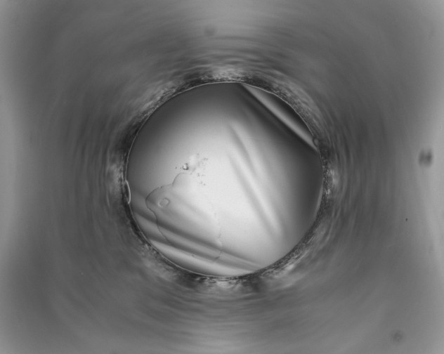X0000090700329200708101447
