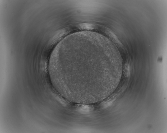 X0000090700330200708101447