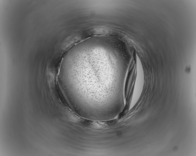 X0000090700333200708101447