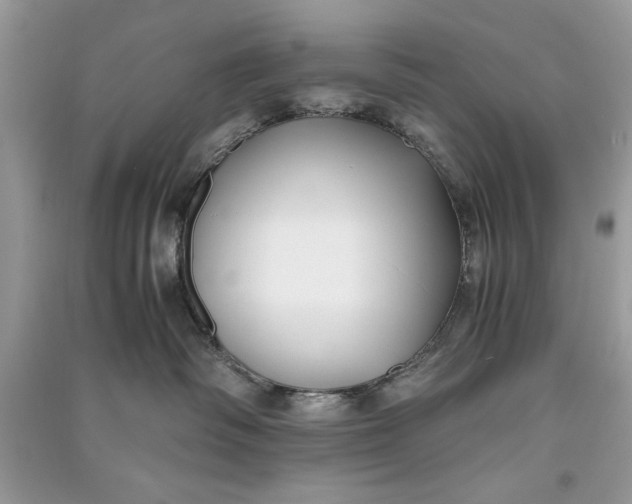 X0000090700334200708101447