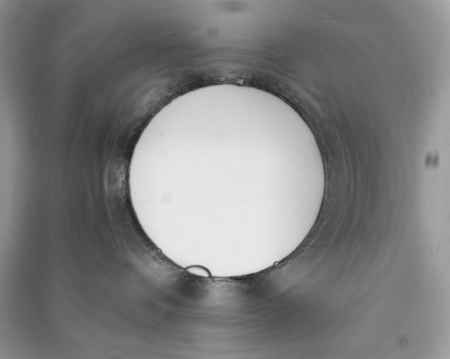X0000090700336200708101447