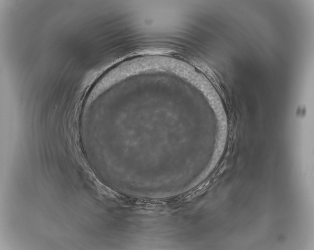 X0000090700337200708101447