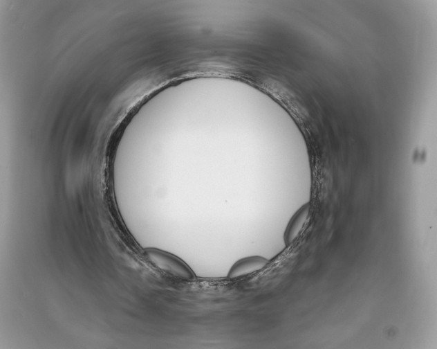 X0000090700338200708101447