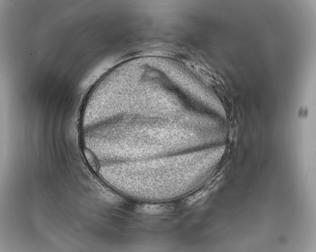 X0000090700341200708101447
