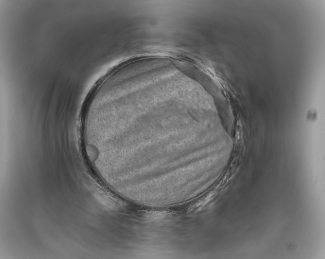X0000090700342200708101447