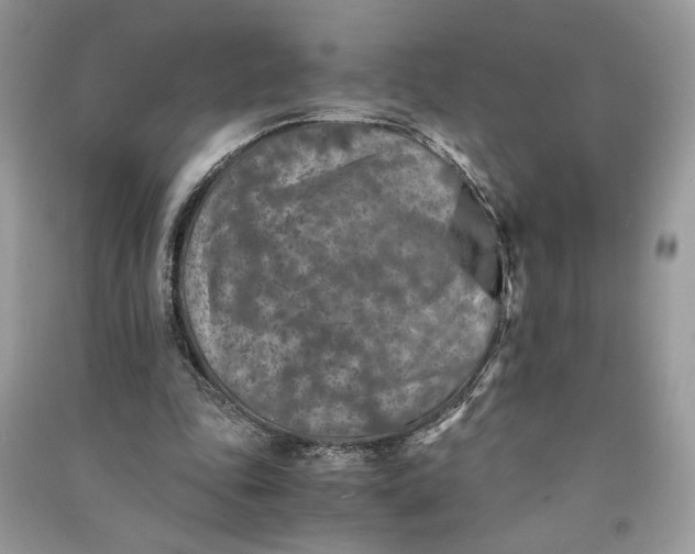 X0000090700343200708101447