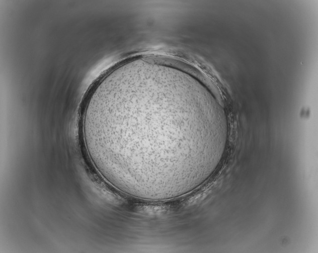 X0000090700344200708101447