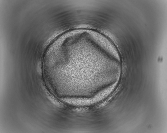 X0000090700345200708101447